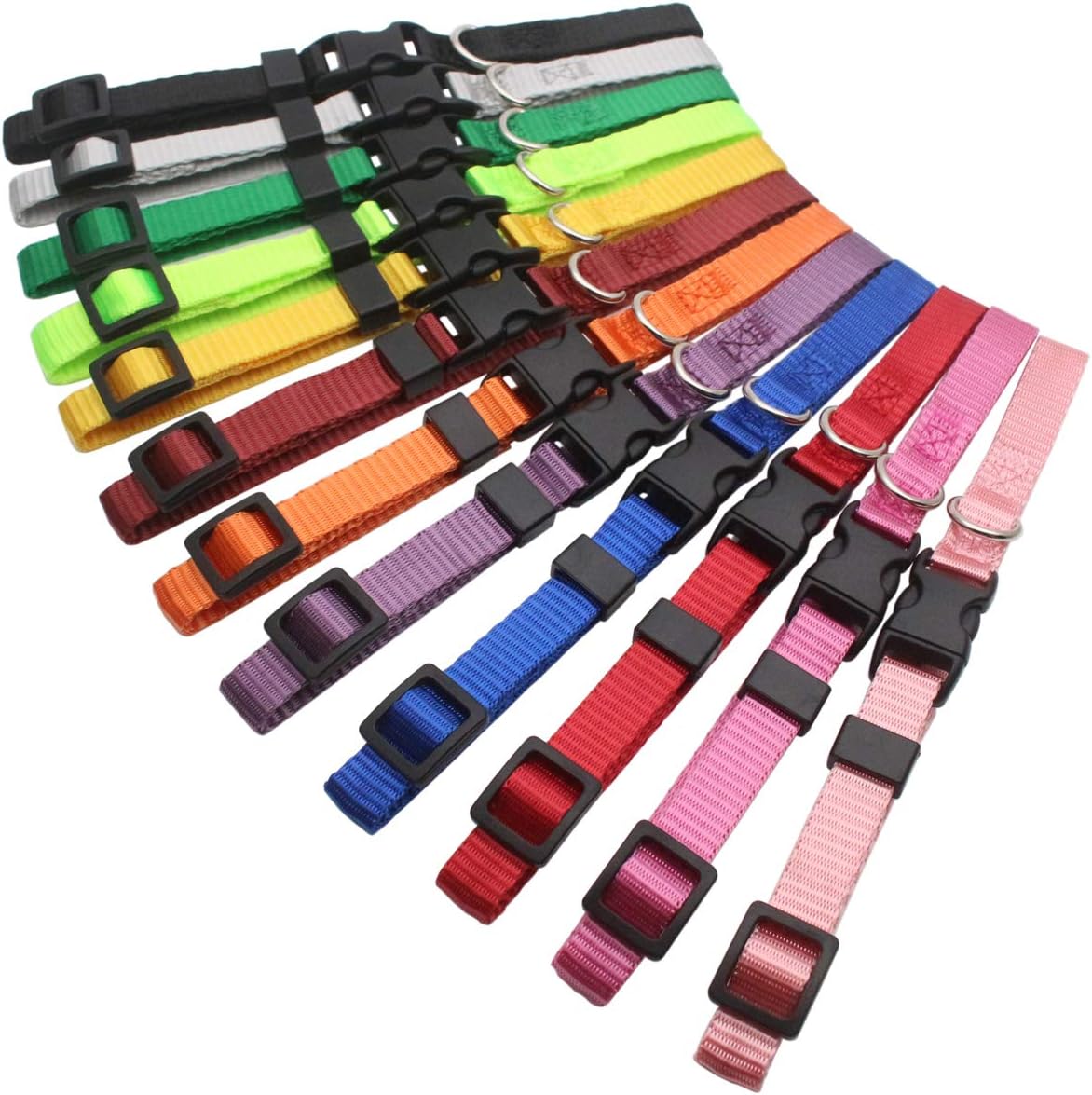 Halsband ID för valp 12-pack