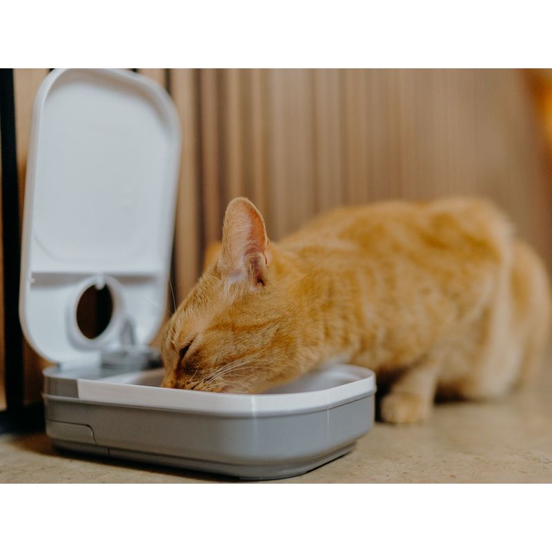 FODERAUTOMAT CATMATE C100