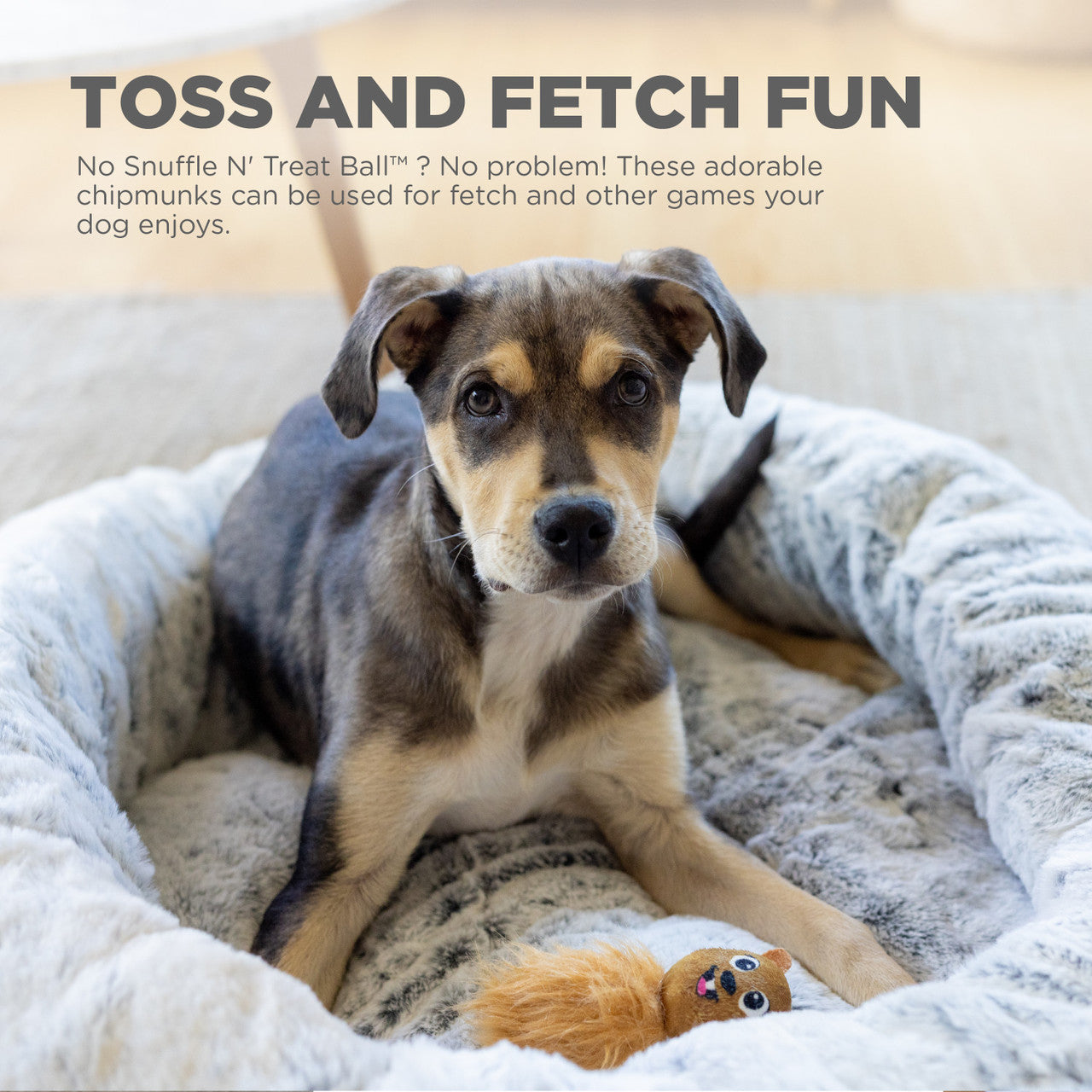 EKORRAR TILL DOG SNUFFLE N' TREAT 3-PACK NINA OTTOSSON 12x4x5 cm