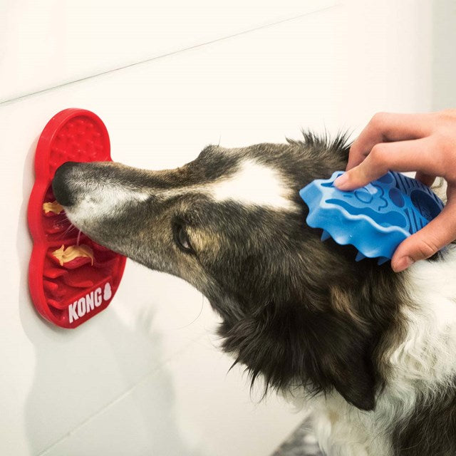 HUNDLEKSAK LICKS