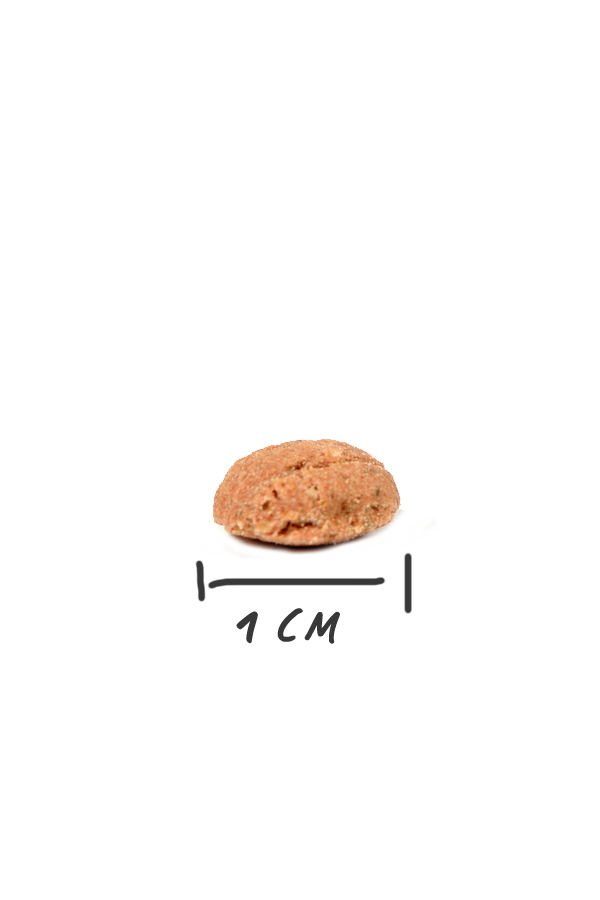 Magnussons Junior