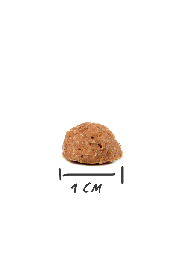 Magnussons Vuxen