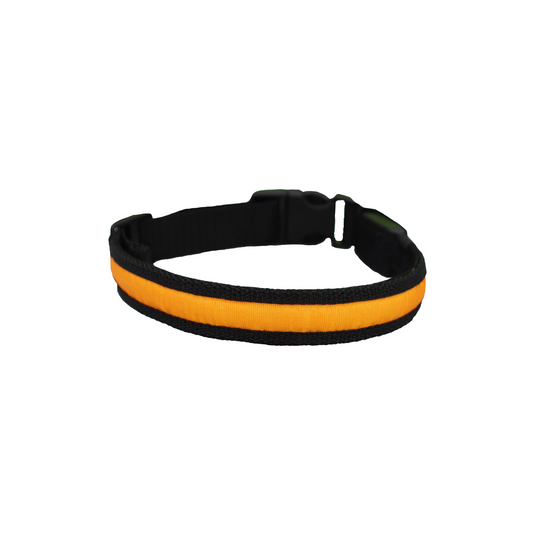 FLASH HALSBAND MED USB KABEL GRÖN