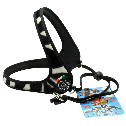 Hundsele_TRE_PONTI_ZEBRA_MOTIV