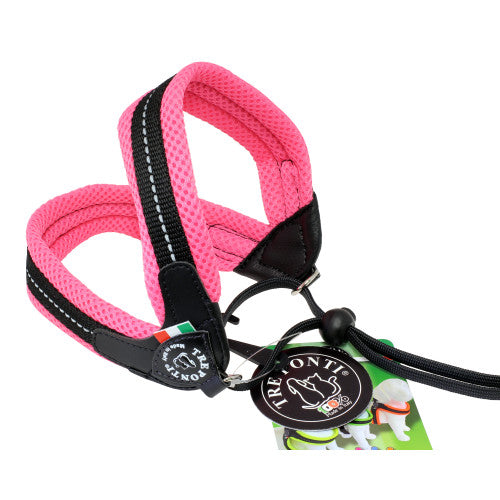 Hundsele_Tre_Ponti_Rosa_Band