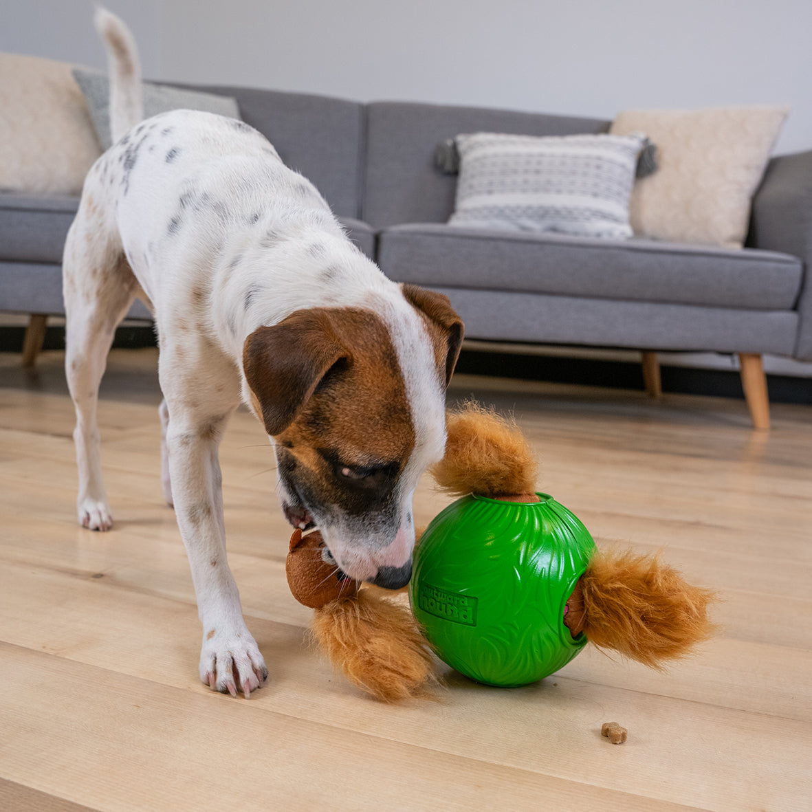 AKTIVERINGSKULA DOG SNUFFLE N' TREAT SMALL NINA OTTOSSON 12,5 cm